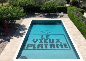 Le Vieux Platane